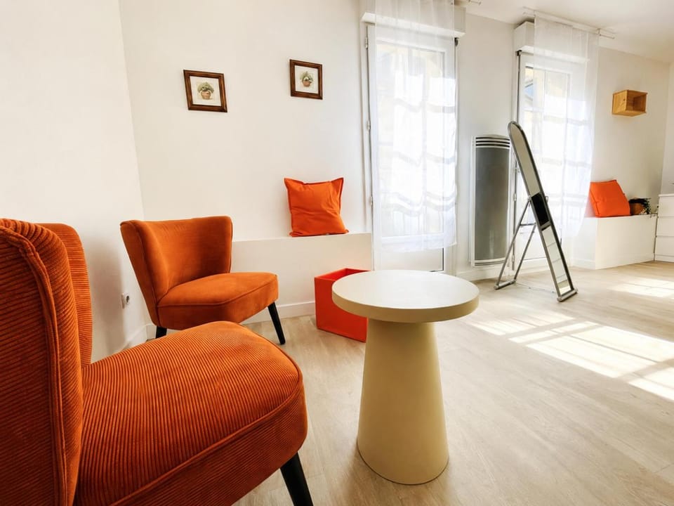 Hyper centre, rue piétonne, calme et lumineux JM1B Apartment in Dijon
