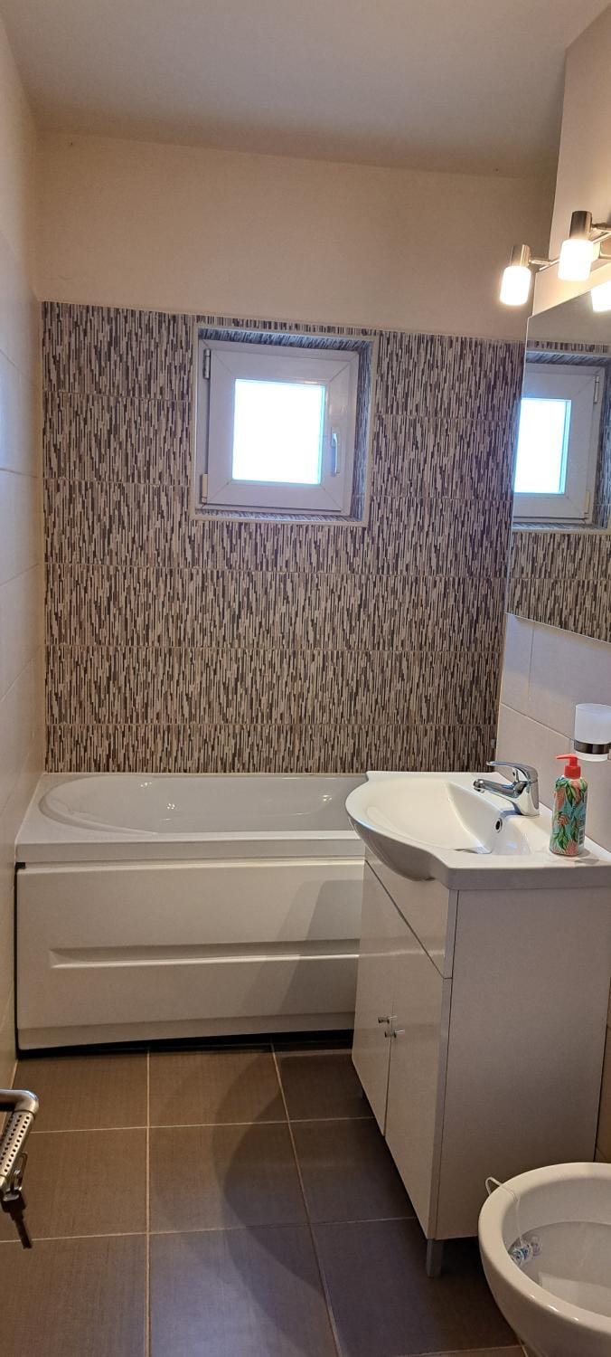 Apartament Pensiunea Grecu Apartment in Timiș County