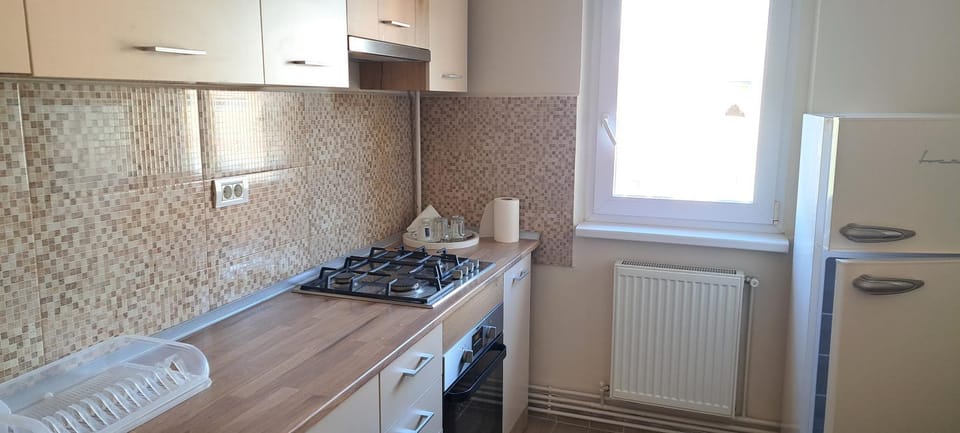 Apartament Pensiunea Grecu Apartment in Timiș County