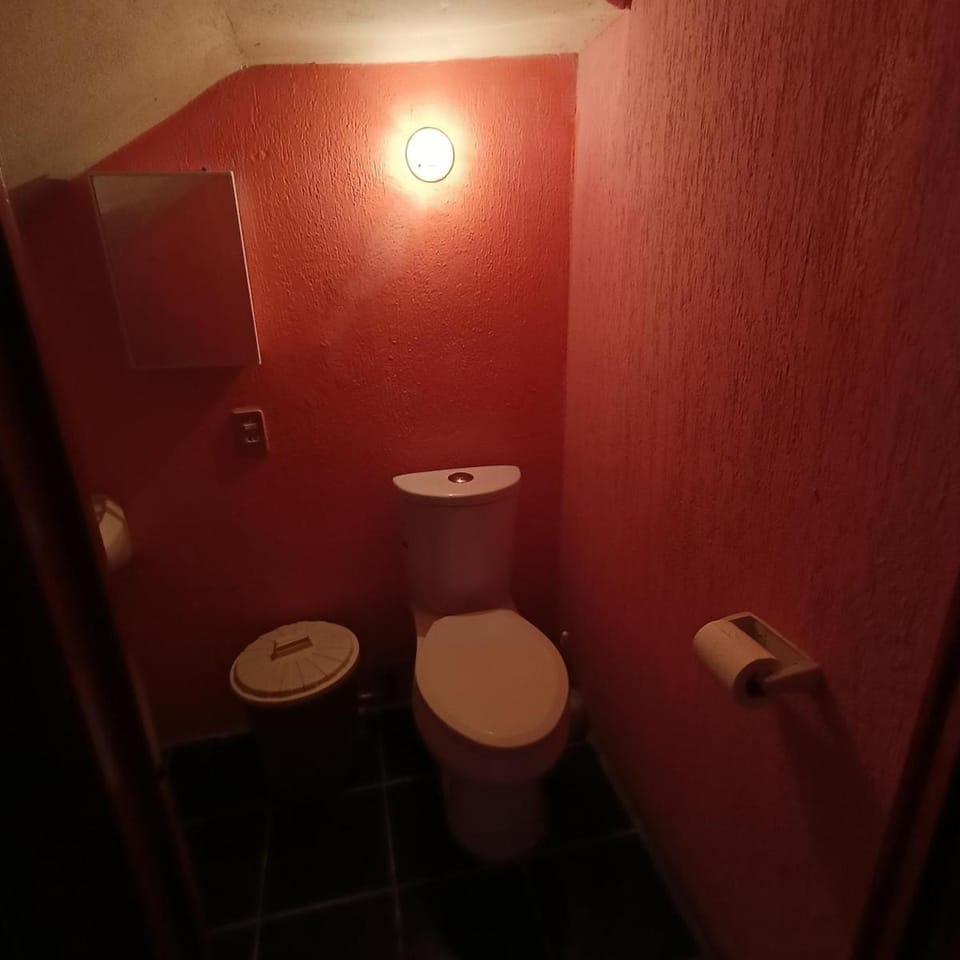 House with 3 bedrooms, projector, work area and barbecue Apartment in Saltillo