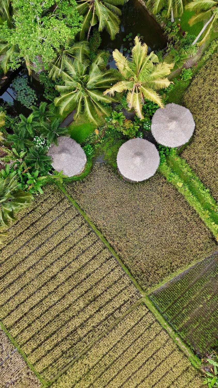 Garden, Garden view