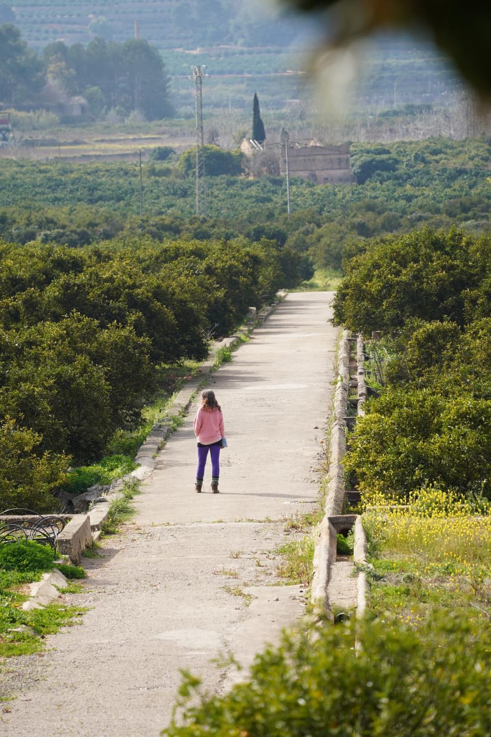 Off site, People, Garden, Hiking, Hiking