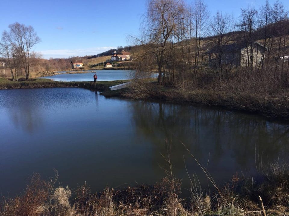 Lake view