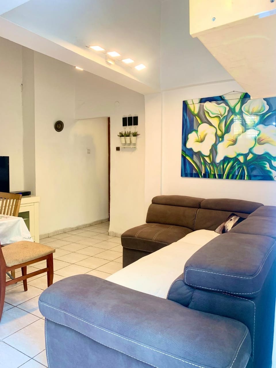 Alona's Apartments- Garden Apartment Apartment in Haifa District