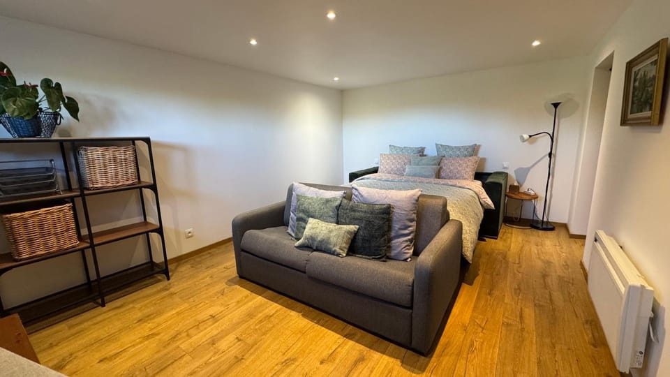 Bed, Living room, Photo of the whole room