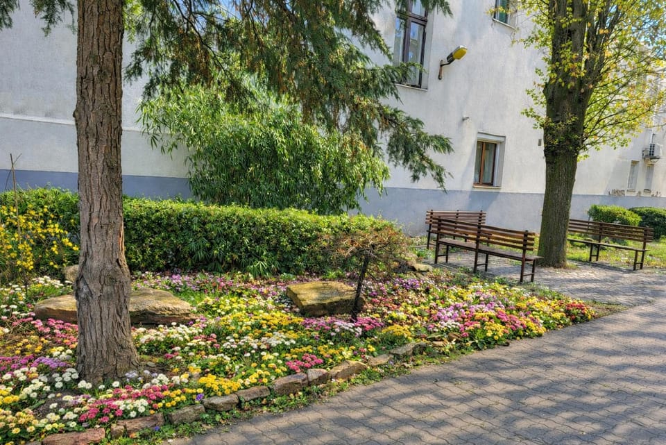 Garden, Garden view