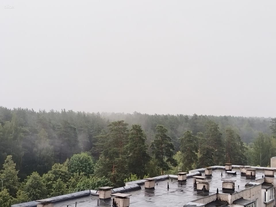Sunset Bird Watcher Apartament Apartment in Lithuania