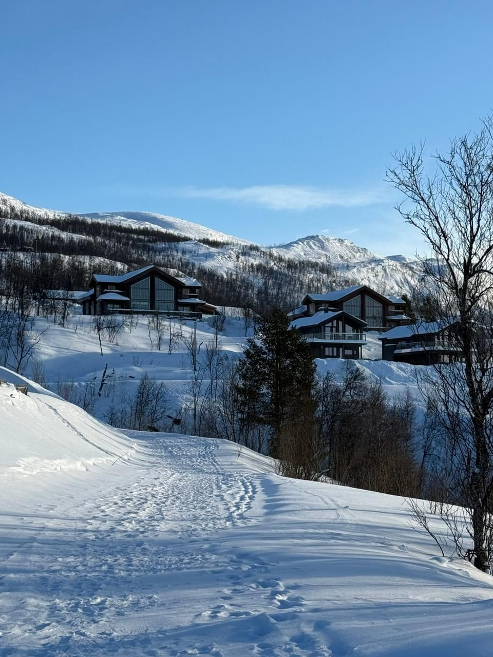 Målselv Fjellandsby Nordlyshytte Apartment in Troms Og Finnmark