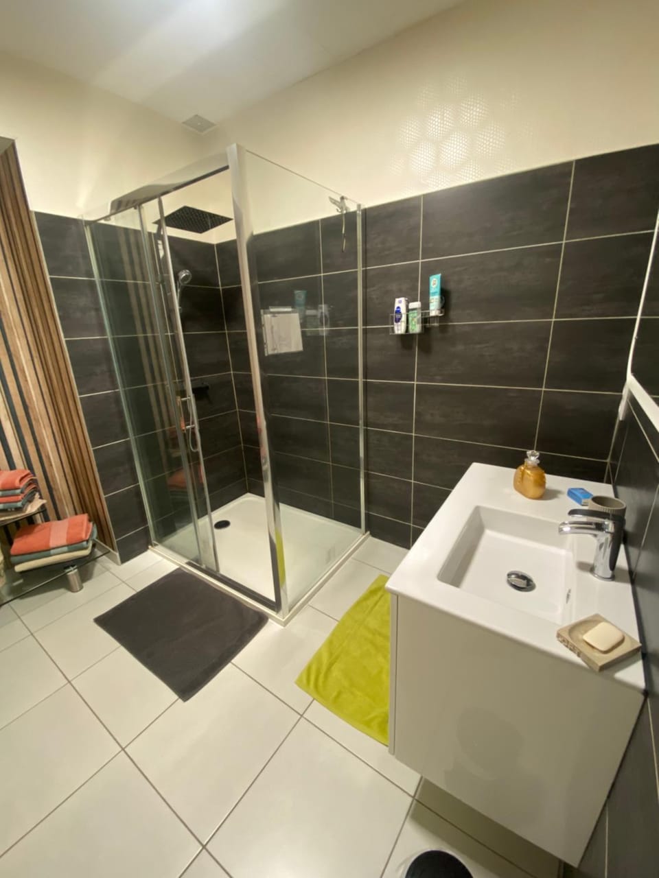 Maison ARTEM Nancy Thermal Apartment in Nancy
