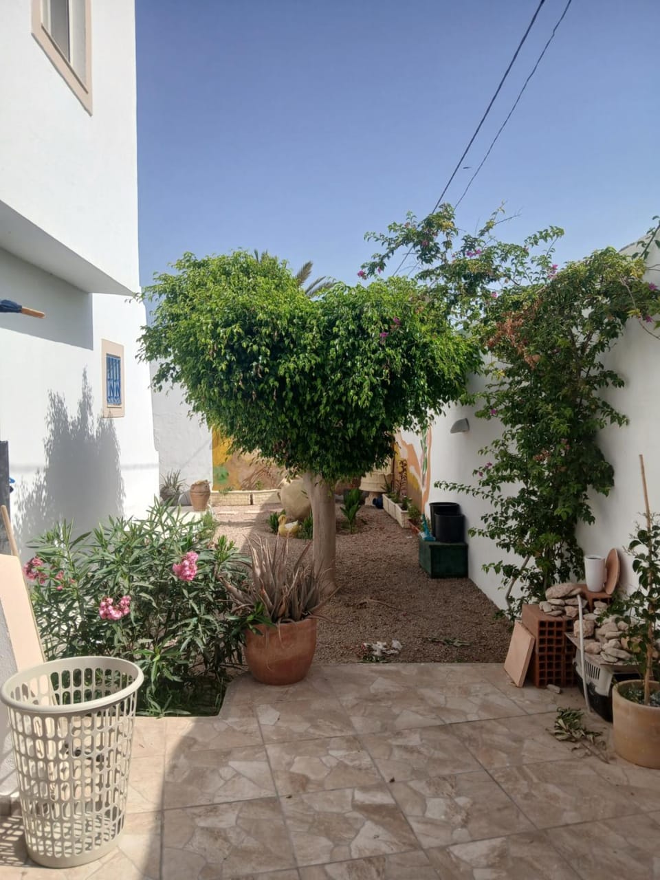 Dar Cally Maison d Artiste Bed and Breakfast in Tunisia