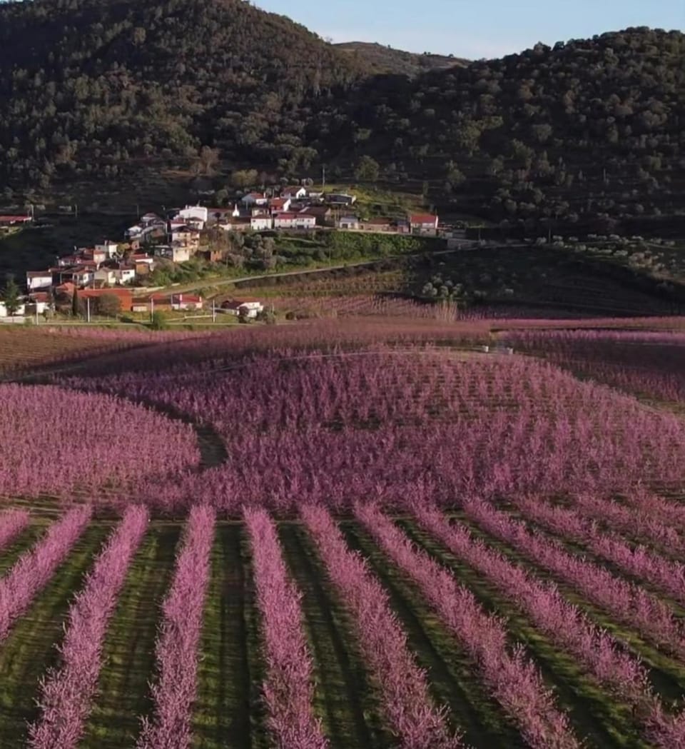 Spring, Natural landscape