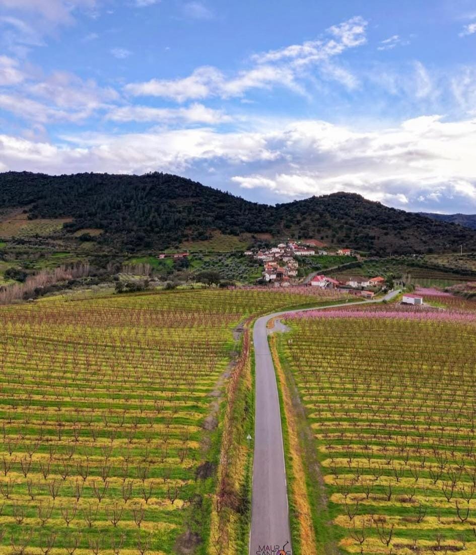 Property building, Natural landscape, Mountain view