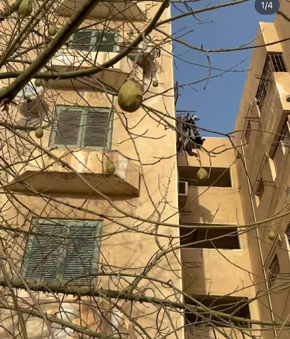 Private room in rental unit in First New Cairo Qism, Egypt Apartment in New Cairo City