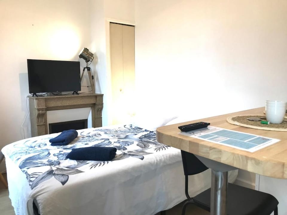 Le Castel Lily - Face aux parcs - Calme - Centre Apartment in Bourgogne-Franche-Comté