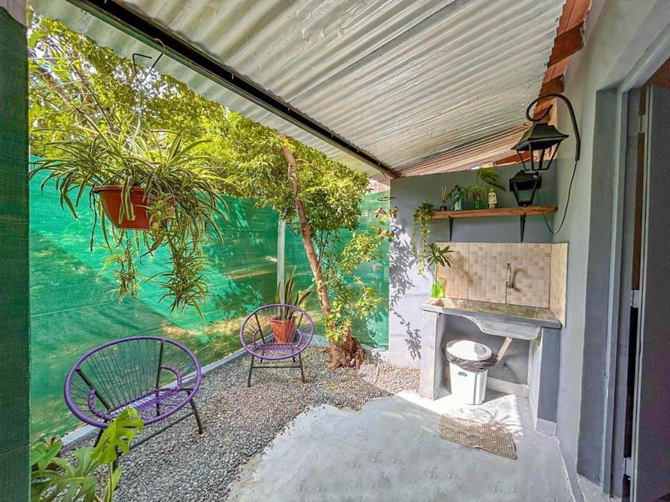 Natural landscape, Garden, Garden view, Inner courtyard view