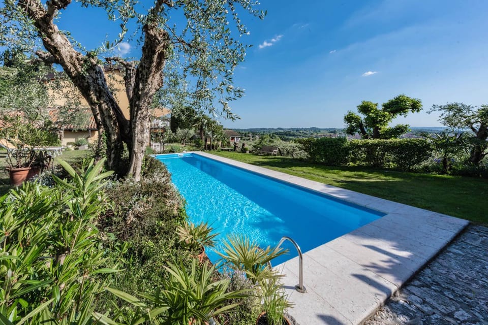 Garden, Pool view, Swimming pool