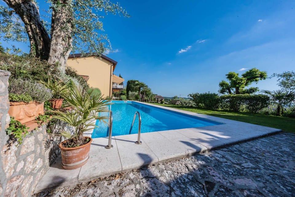 Garden, Garden view, Pool view, Swimming pool