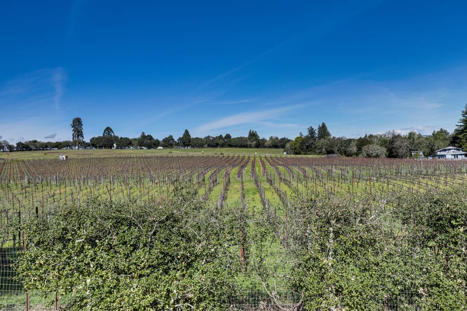 Red Barn Guest Cottage Wine Country Escape Apartment in Forestville