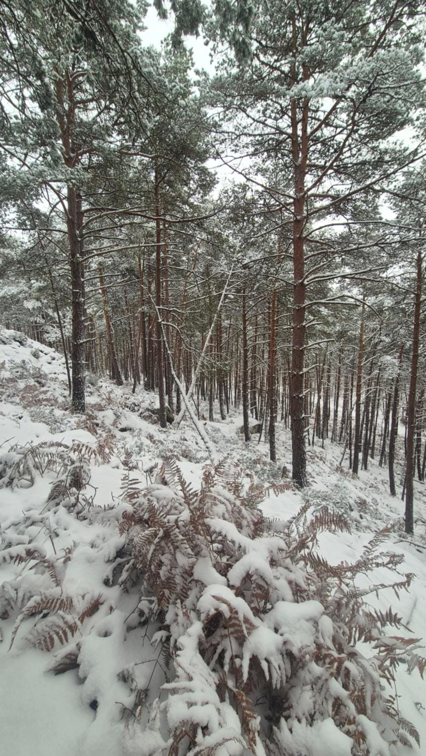 Natural landscape, Winter