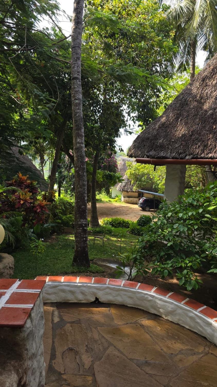 Day, Natural landscape, Garden, Garden view