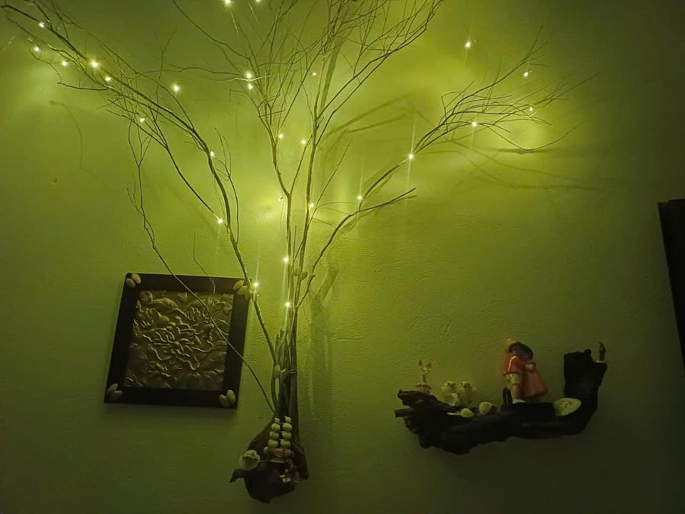 Farm home Lucky home- Indian Friendly Apartment hotel in Phu Quoc