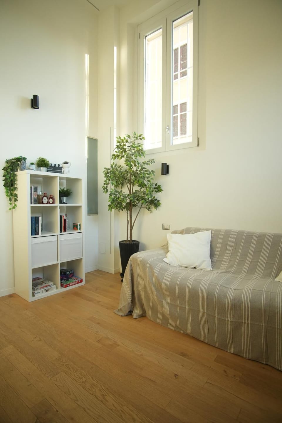 Bed, Library, Photo of the whole room