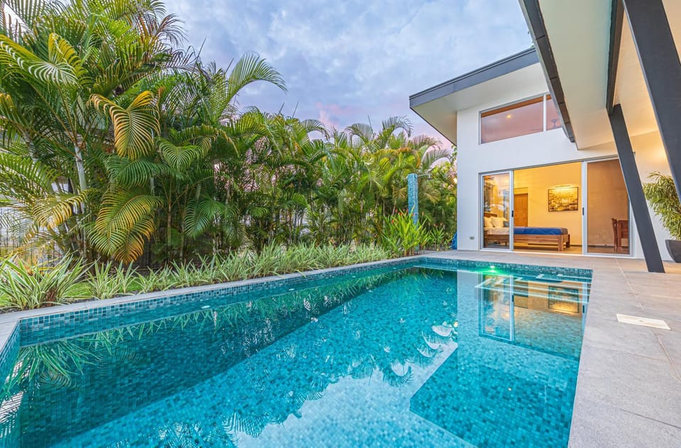 Garden, Pool view, Swimming pool