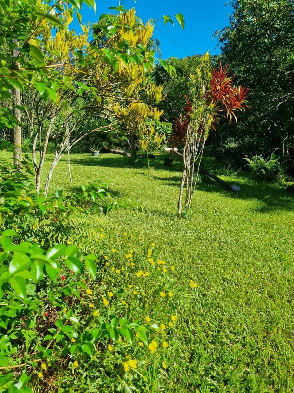 Garden, Garden view
