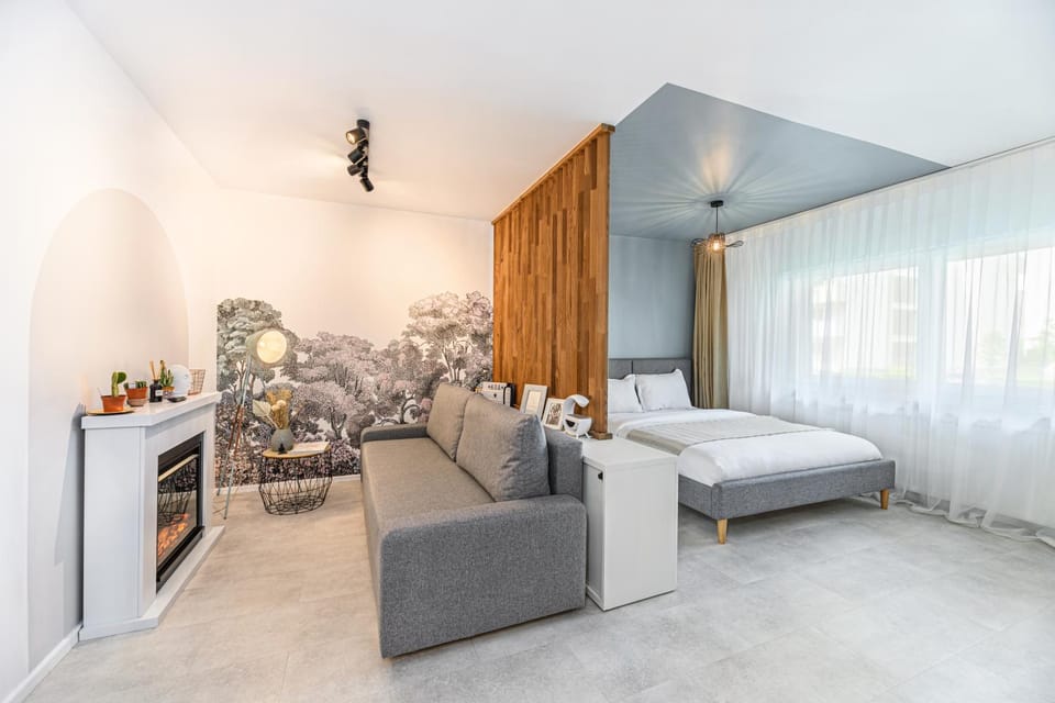 Bed, Living room, Photo of the whole room, Seating area, Bedroom, fireplace