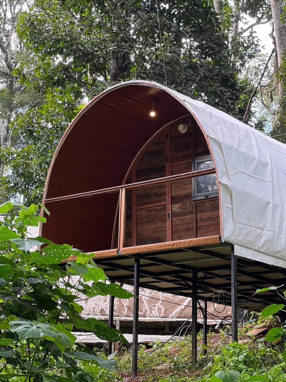 Wildvibes India Campground/ 
RV Resort in Kerala