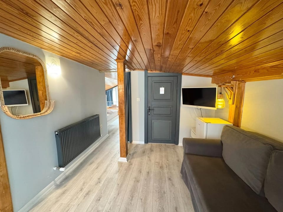 Communal lounge/ TV room, Bed, TV and multimedia, Living room, Photo of the whole room, Seating area, Evening entertainment, Bedroom