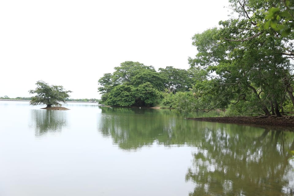 Lake view