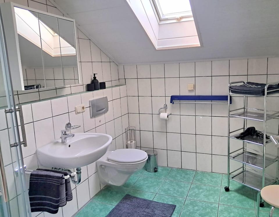 Toilet, Bathroom