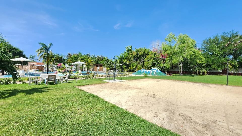 Natural landscape, Garden, Garden, Garden view