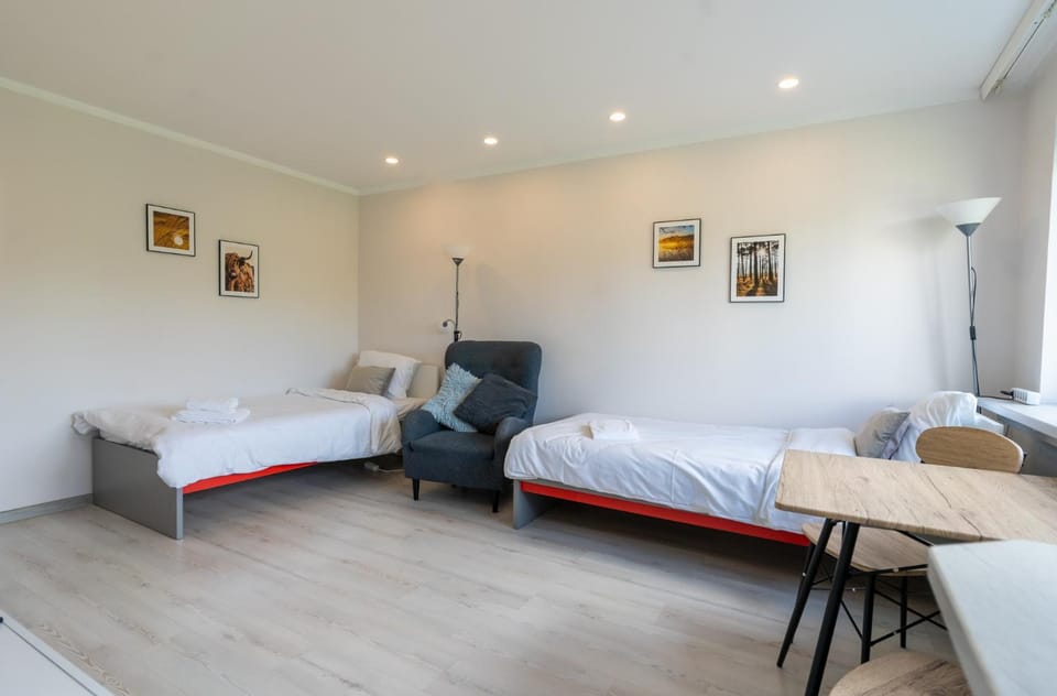 Bed, Living room, Photo of the whole room, Seating area, Bedroom