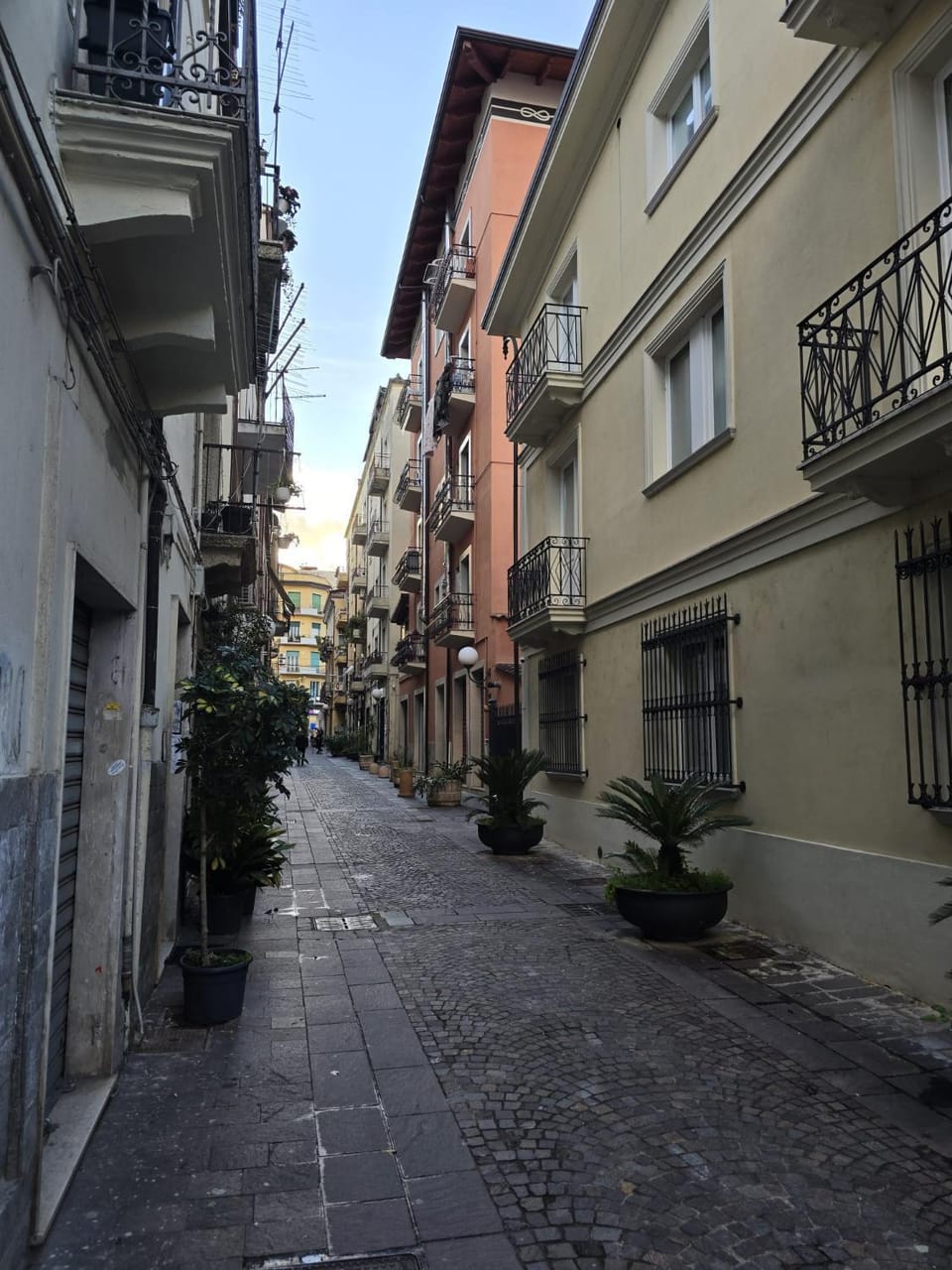 Property building, Neighbourhood, Street view