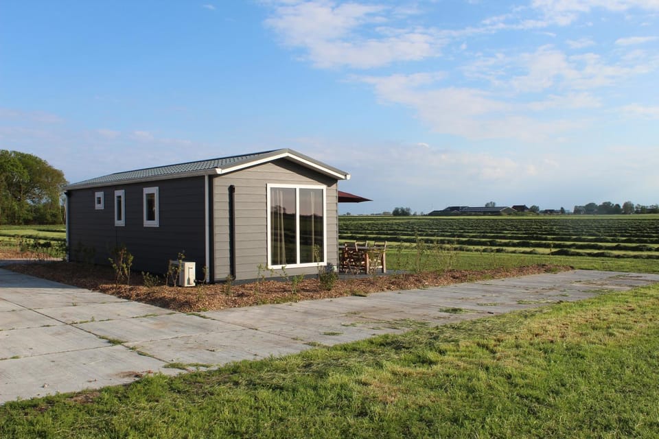 Property building, Garden view