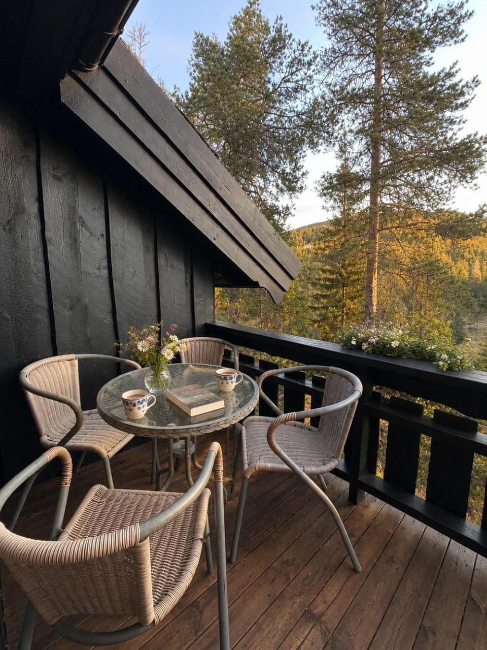 Patio, Dining area