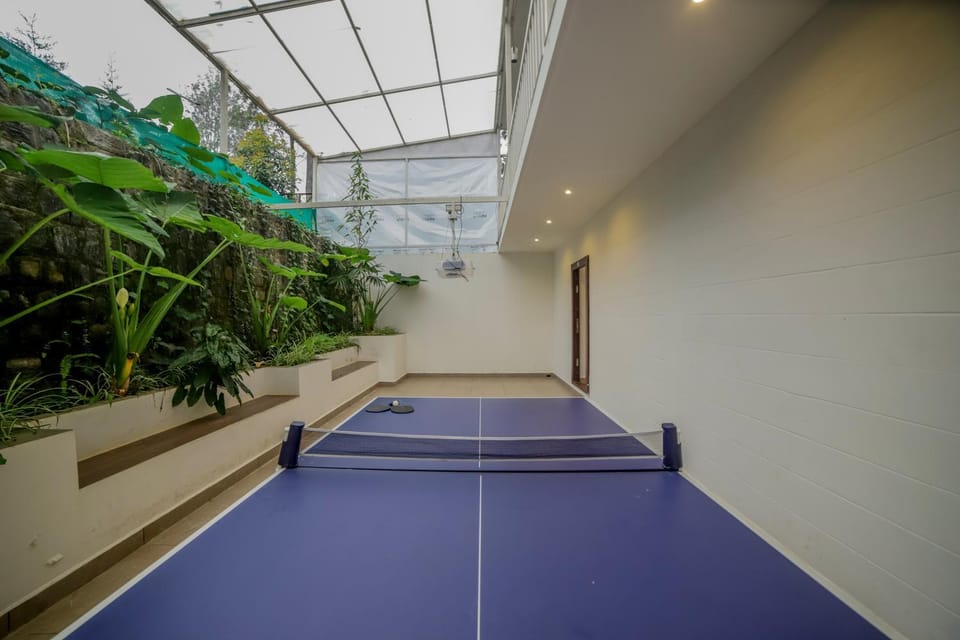 Table tennis