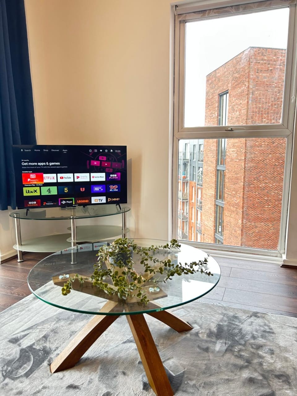 TV and multimedia