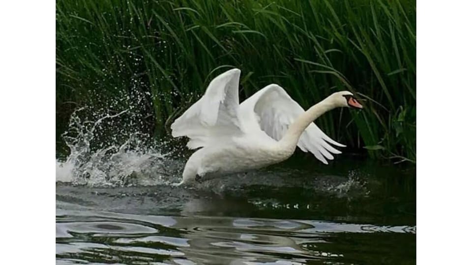 Riverside Lodge Self-Catering Apartment Apartment in Whittlesey