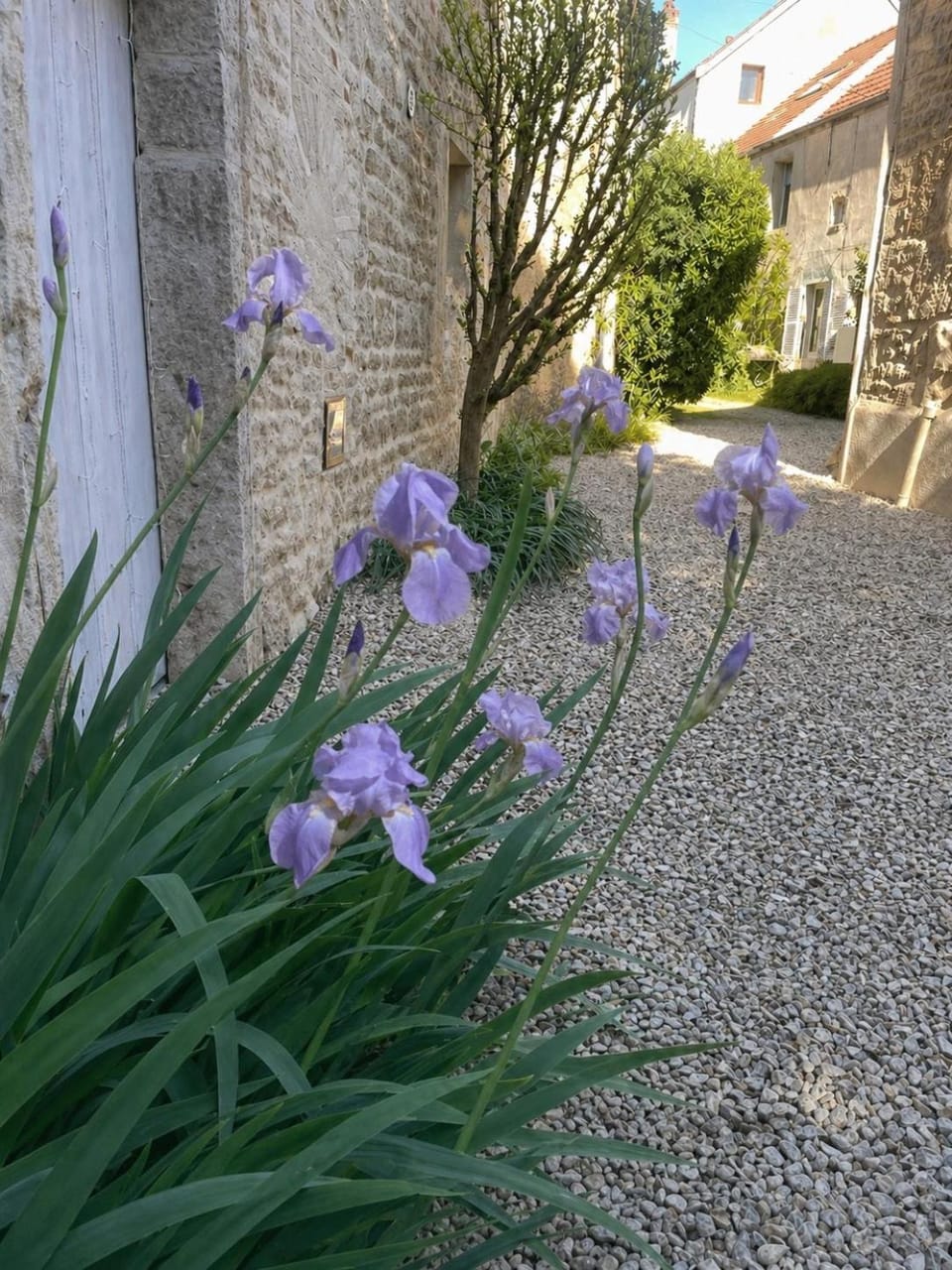 Le petit chez soi - my sweet home in Gevrey-Chambertin House in Bourgogne-Franche-Comté