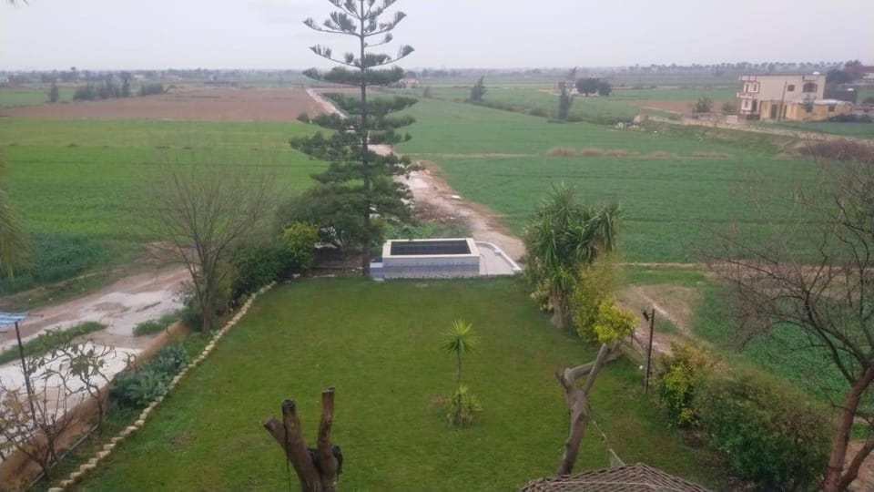 Garden, Swimming pool