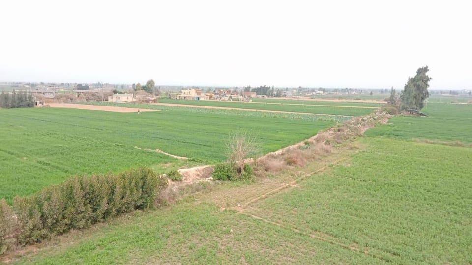 Marwan Farmhouse Apartment in Alexandria Governorate