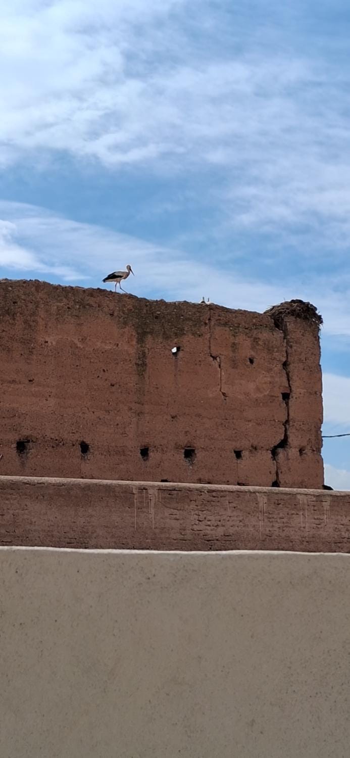Riad privatif Les Ibéris Riad in Marrakesh