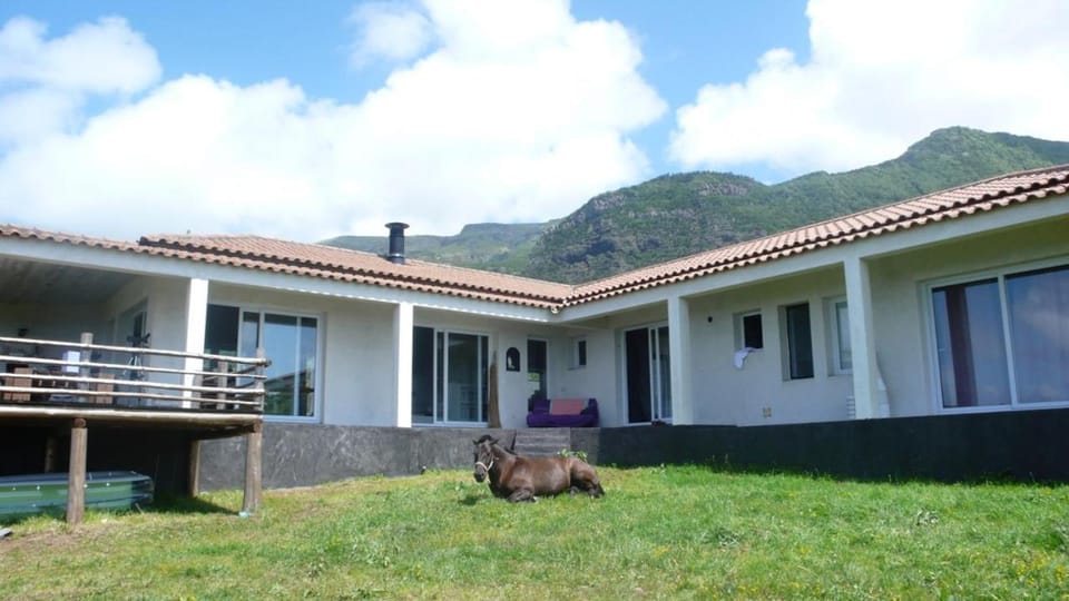 Property building, Garden, Balcony/Terrace