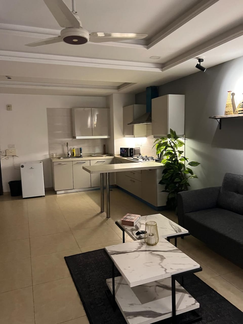 The Greyline Loft 1BHK Apartment Apartment in Islamabad