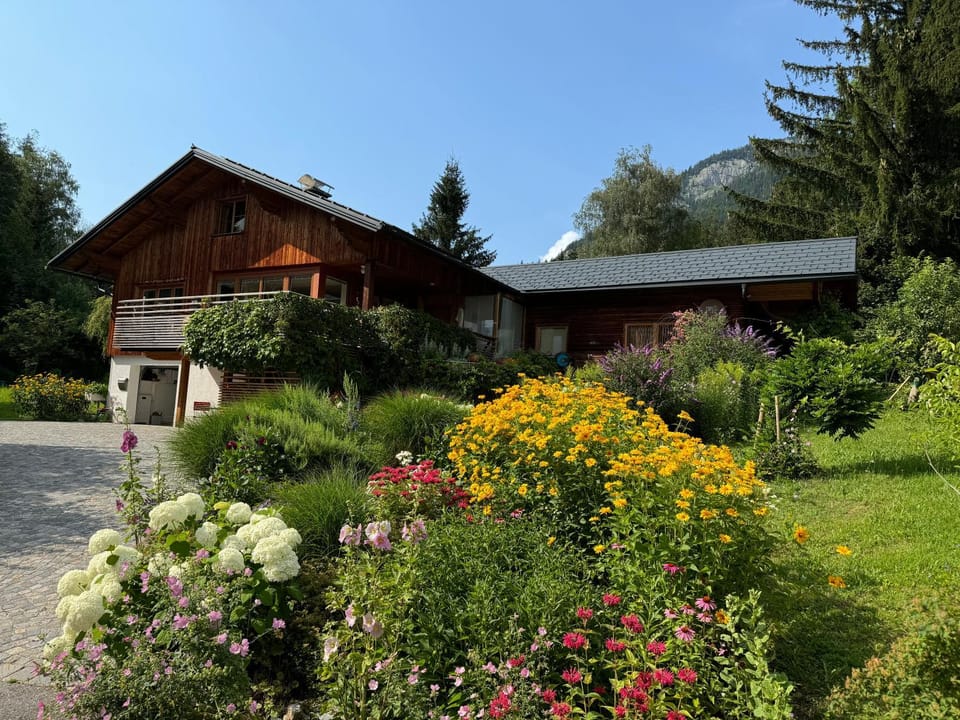 Property building, Summer, Garden view