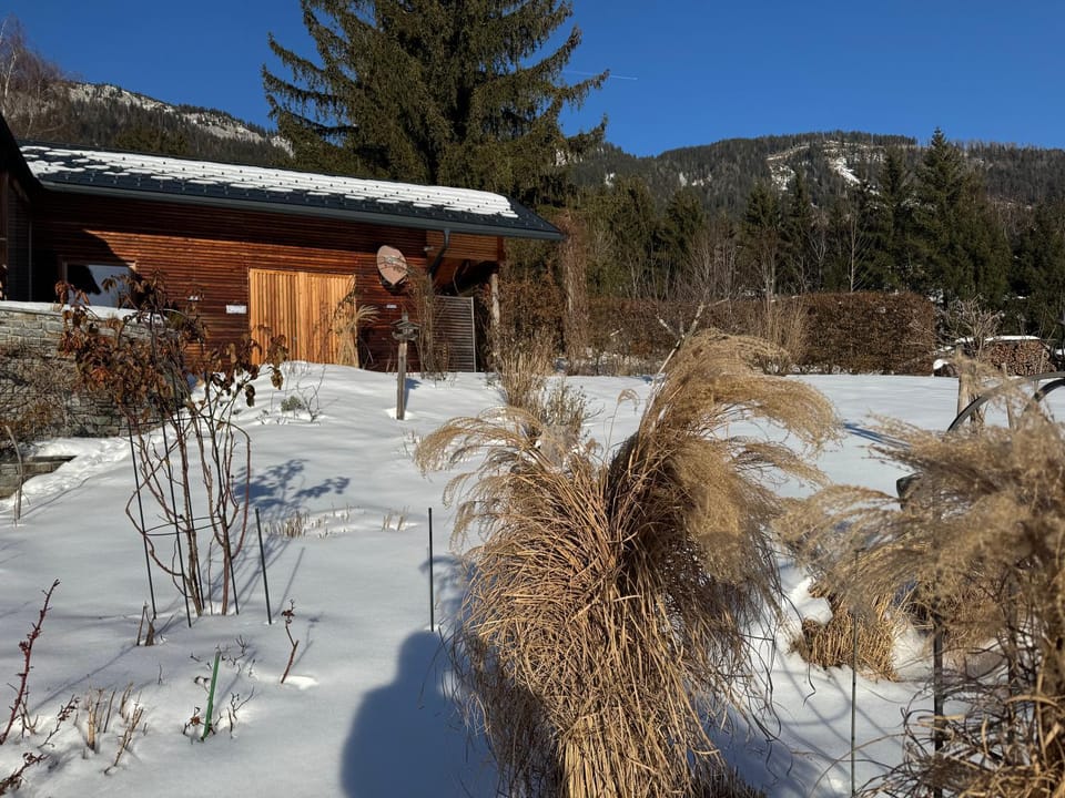 Property building, Winter
