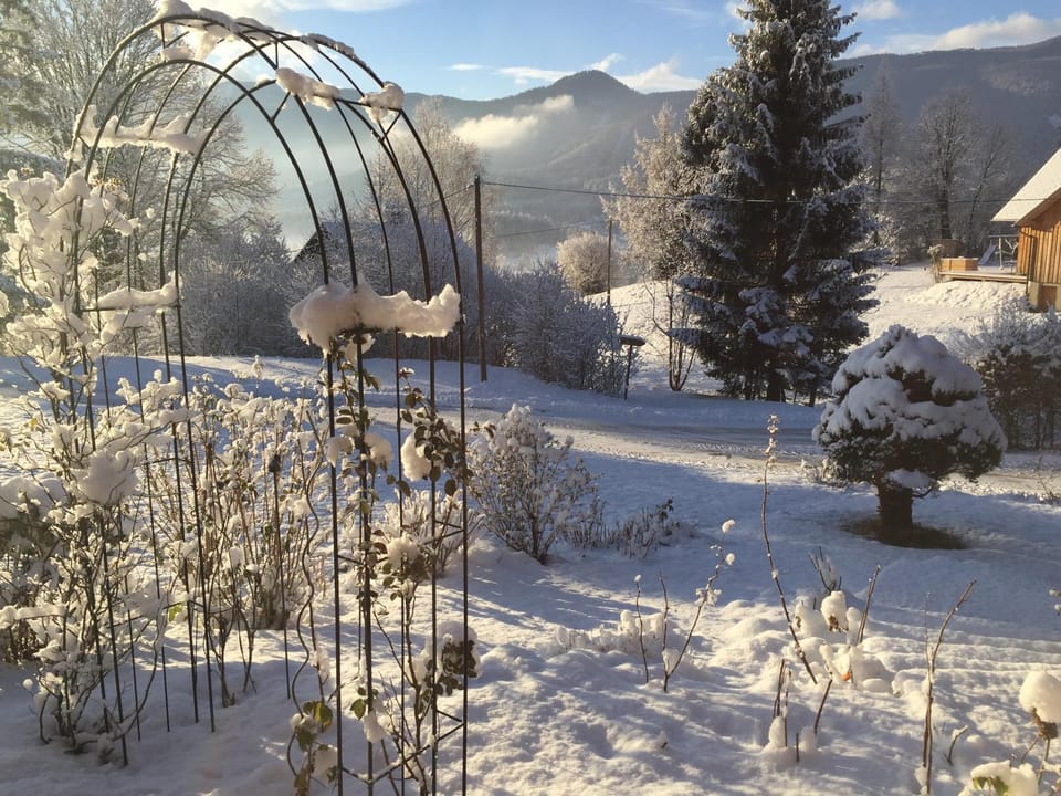 Day, Winter, Garden, Mountain view